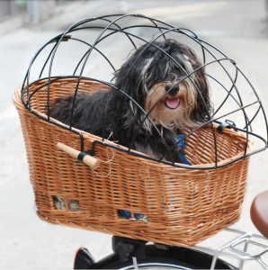 rear mounted dog carrier for bike
