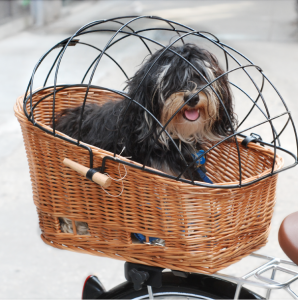 mens bike basket