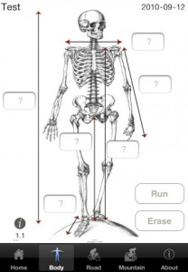 Enter your measurements