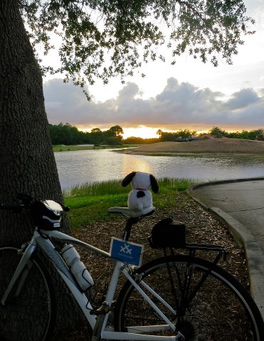 #30daysofbiking