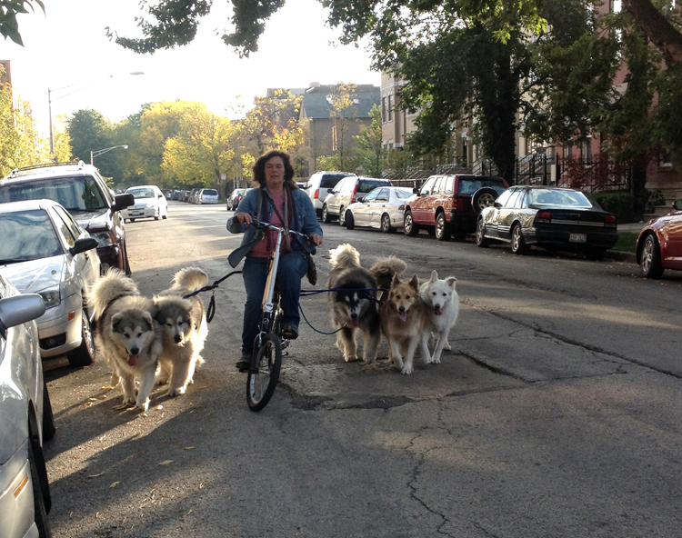 bike-dogs-soozed
