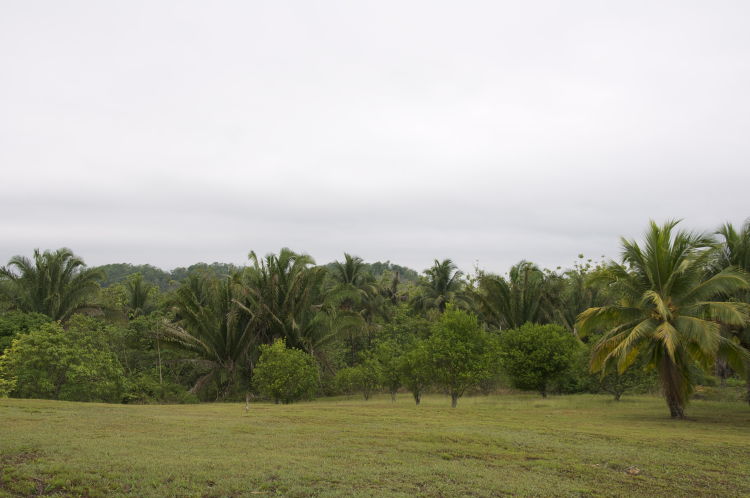Belize Land For Sale Cycling